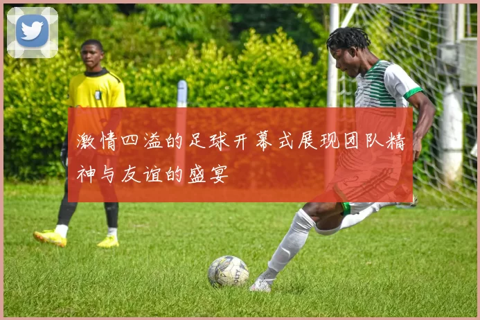 激情四溢的足球开幕式展现团队精神与友谊的盛宴