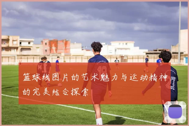 篮球线图片的艺术魅力与运动精神的完美结合探索