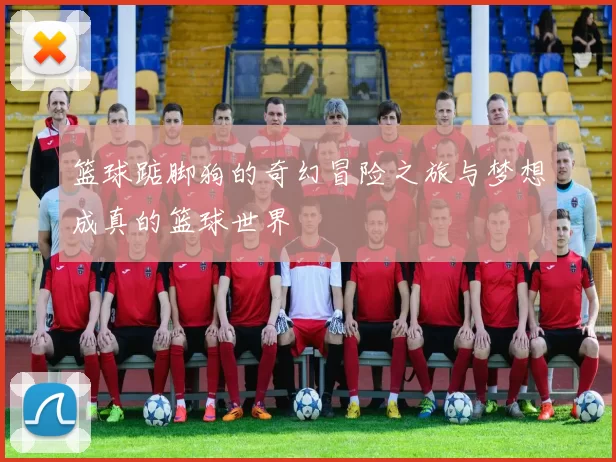 篮球踮脚狗的奇幻冒险之旅与梦想成真的篮球世界