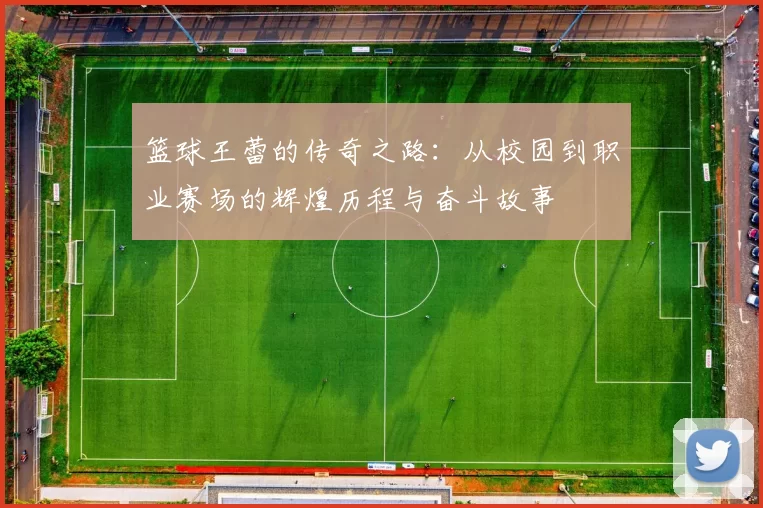 篮球王蕾的传奇之路：从校园到职业赛场的辉煌历程与奋斗故事