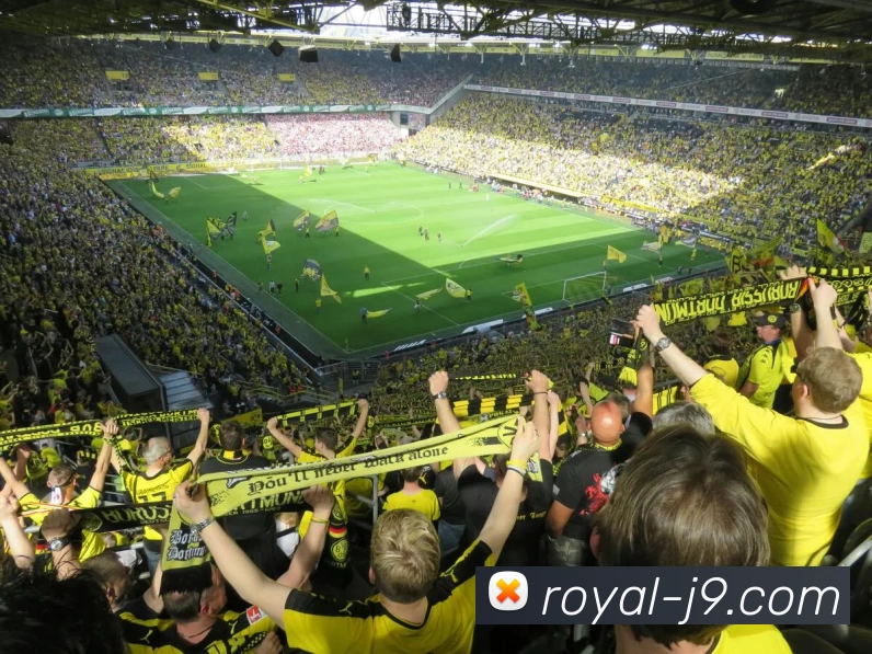 App Interface Preview